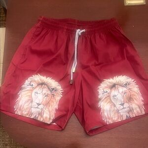 Kenny Flowers Lion Print Men's Swim shorts